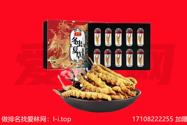 五指回收虫草.jpg